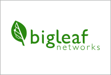bigleaf